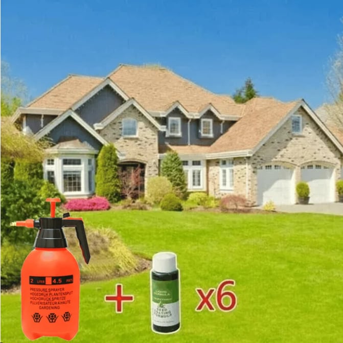 BBOJI™🔥Last Day 70% OFF🌱Hydro Seeding Lawn Solution