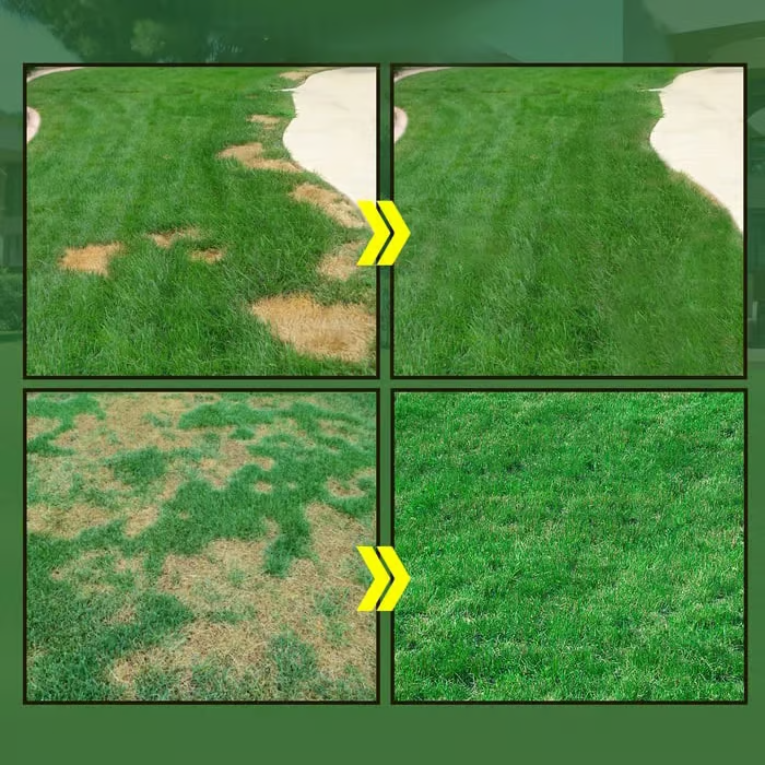 BBOJI™🔥Last Day 70% OFF🌱Hydro Seeding Lawn Solution