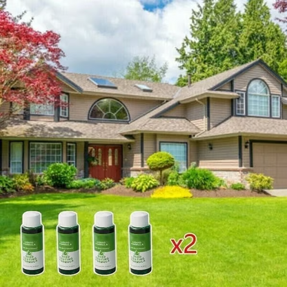 BBOJI™🔥Last Day 70% OFF🌱Hydro Seeding Lawn Solution