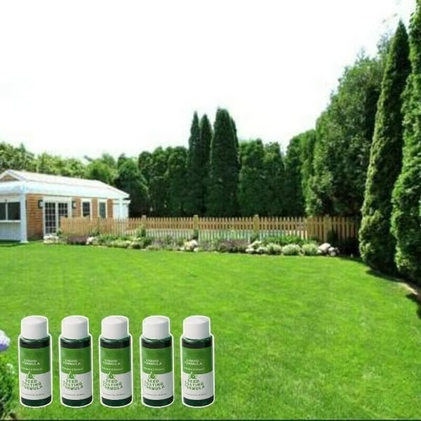 BBOJI™🔥Last Day 70% OFF🌱Hydro Seeding Lawn Solution